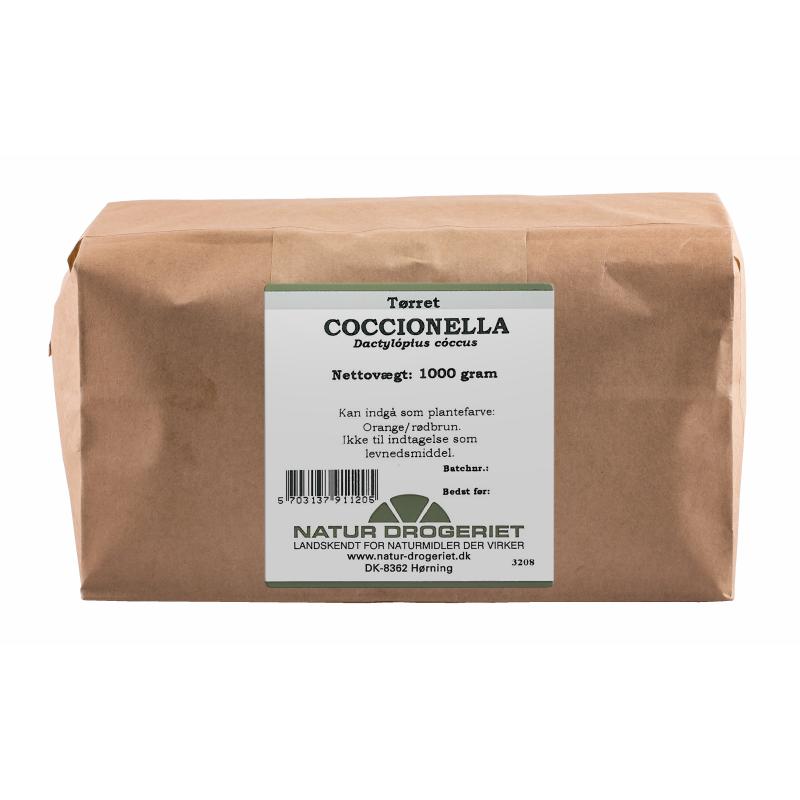 Coccionella